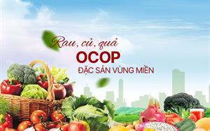 Banner right trang chủ 2 2