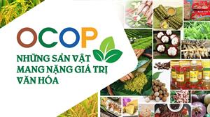 Banner slide trang chủ 2