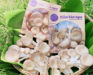 Nấm bào ngư gói 250gr